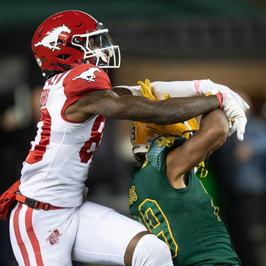 Stampeders beat Elks 20-10, move into second in the West